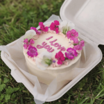categorie-Material para bento cake