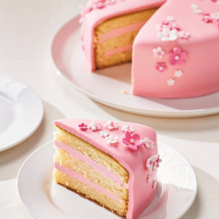 balde-de-5kg-de-mix-genoise-funcakes