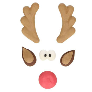 decoração-en-sucre-rudolph-natal
