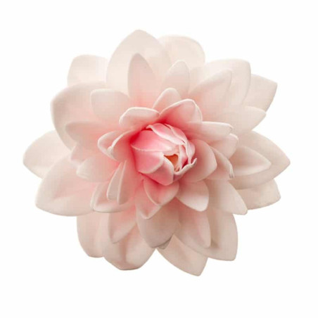 flor gigante wafer-dah