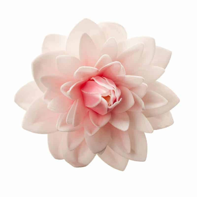 flor gigante wafer-dah