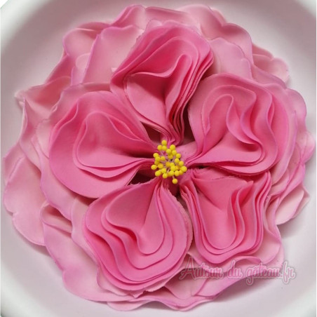 Rosa inglesa em pasta de açúcar