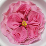 Rosa inglesa em pasta de açúcar