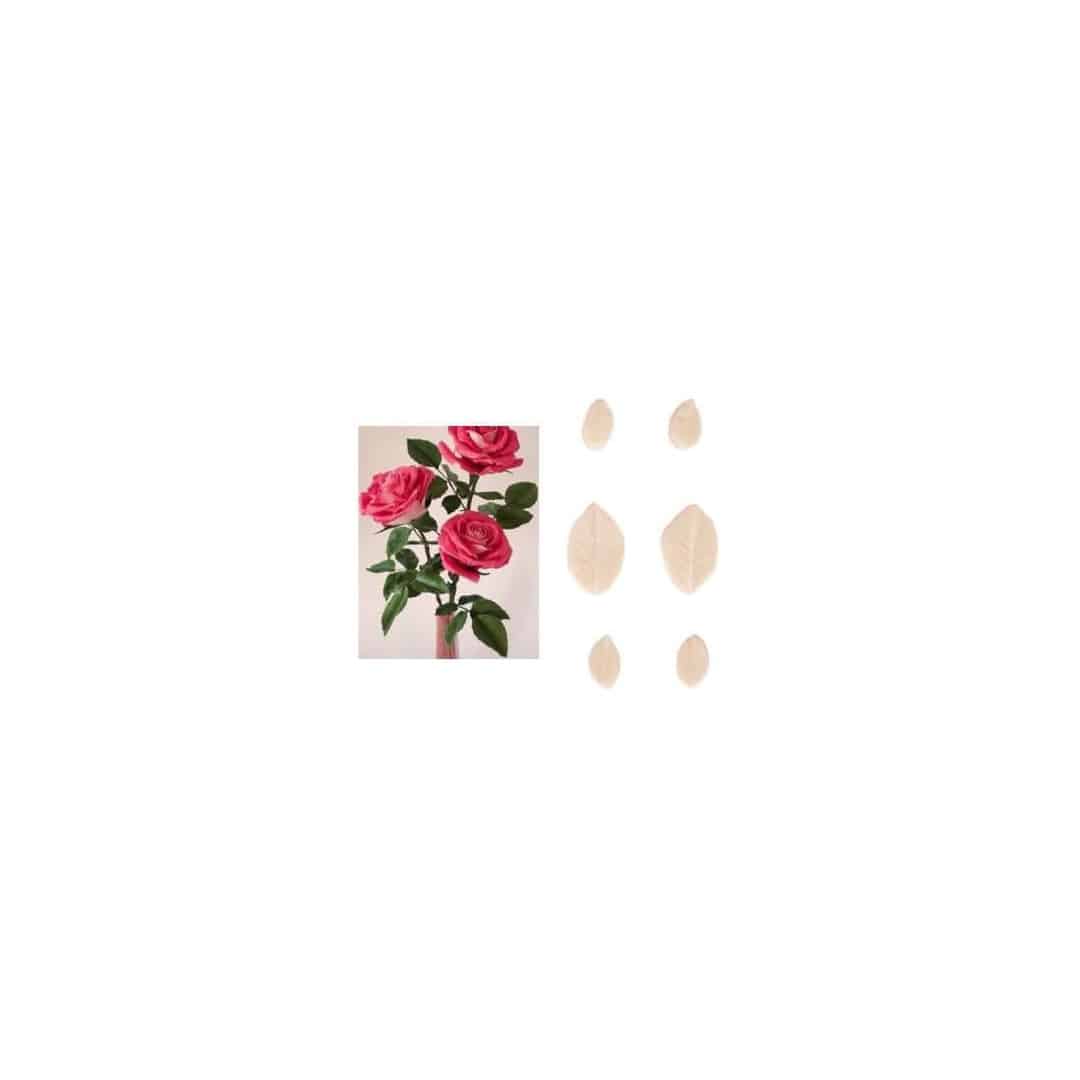 conjunto-6-veias-folhas-de-rosa