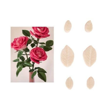 conjunto-6-veias-folhas-de-rosa