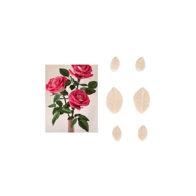 conjunto-6-veias-folhas-de-rosa