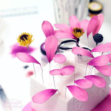 cortadores-multi-flores-folhas-FMM