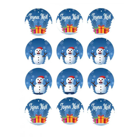 12 discos-de-açúcar-de-natal-encantados-para-biscoitos-cupcakes