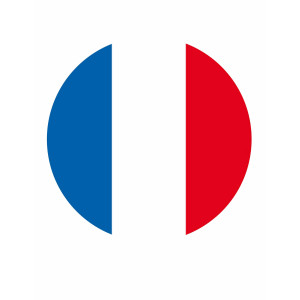 açúcar-disco-bandeira-francesa-copa-do-mundo-de-futebol