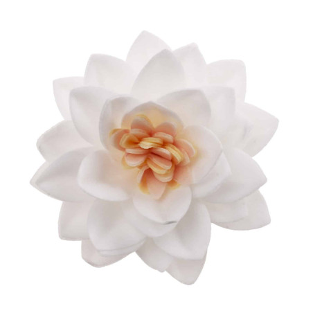 15 flores de lótus brancas em pão ázimo