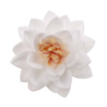 15 flores de lótus brancas em pão ázimo