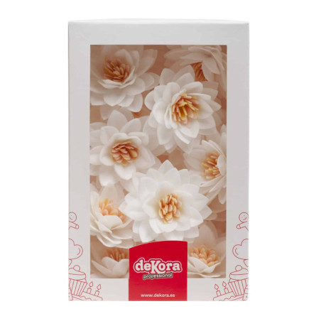 flores-de-lótus-brancas-em-matzo