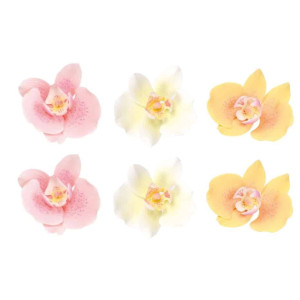 Design de bolo pastel com 6 flores-orquídeas