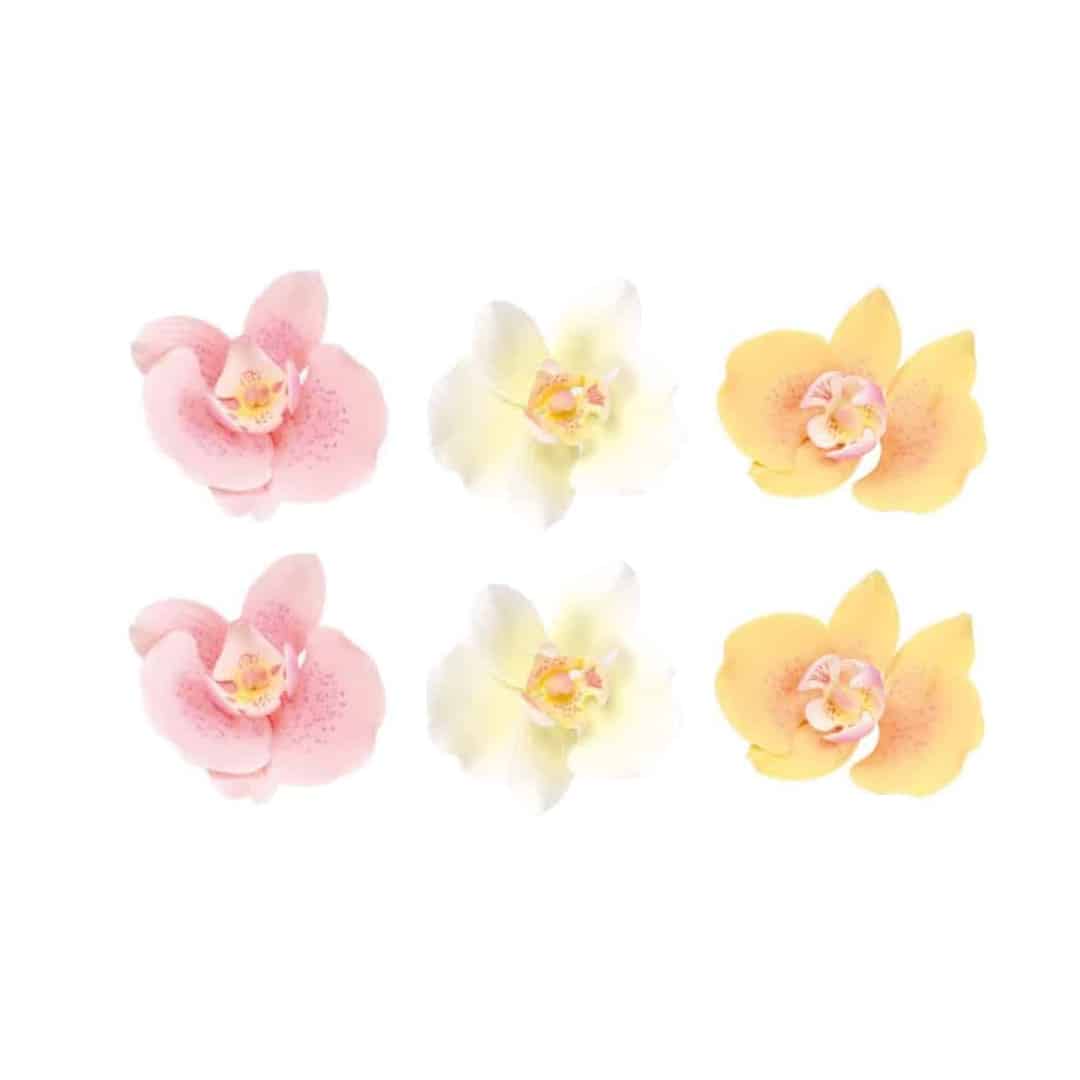 Design de bolo pastel com 6 flores-orquídeas