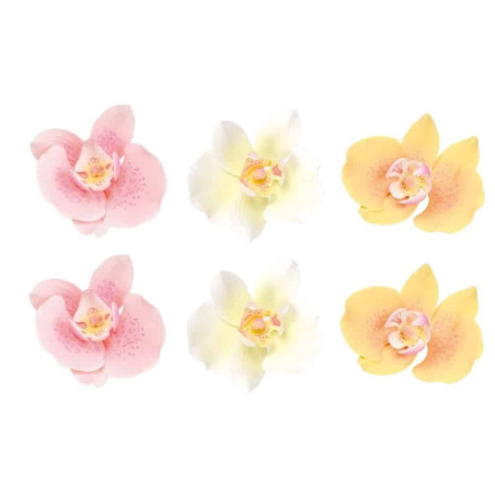 Design de bolo pastel com 6 flores-orquídeas