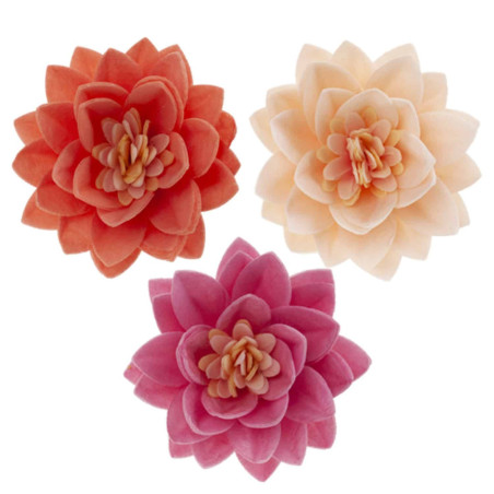 15 flores de lótus em pão ázimo