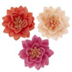 15 flores de lótus em pão ázimo