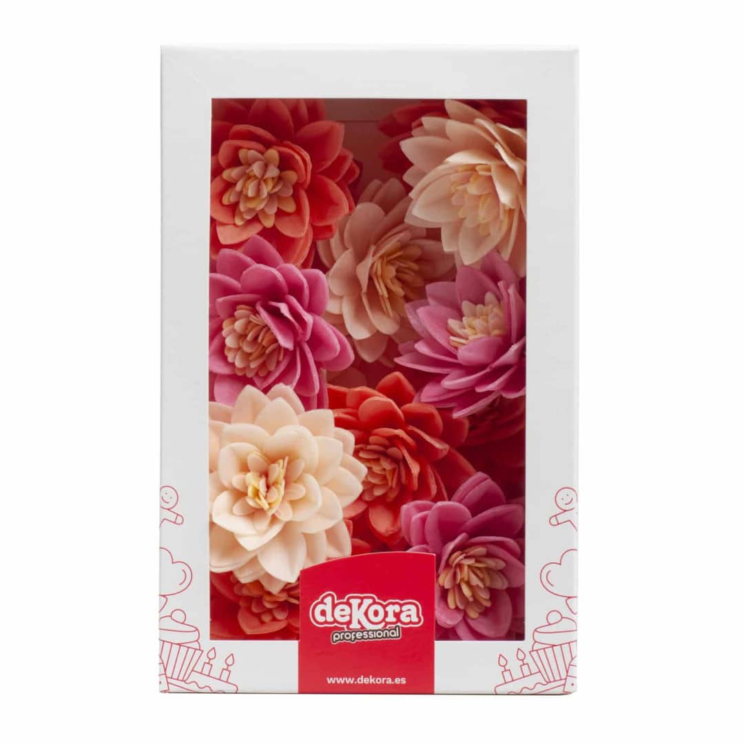 15 flores de lótus em bolo de pão ázimo