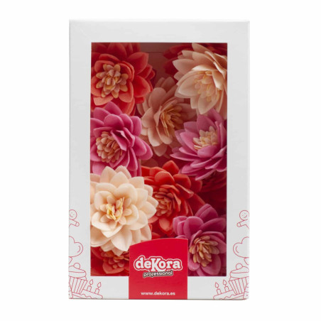 15 flores de lótus em bolo de pão ázimo