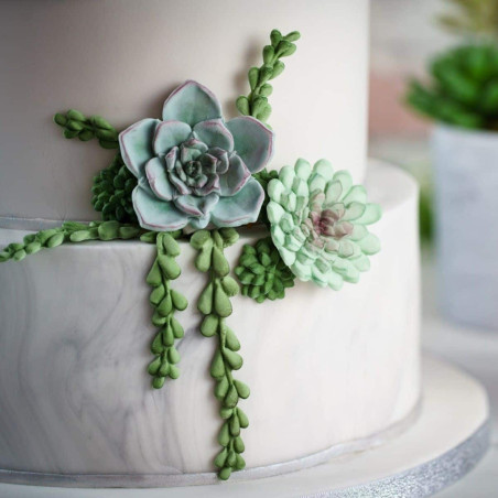 molde-de-modelagem-de-silicone-flores-de-escalada