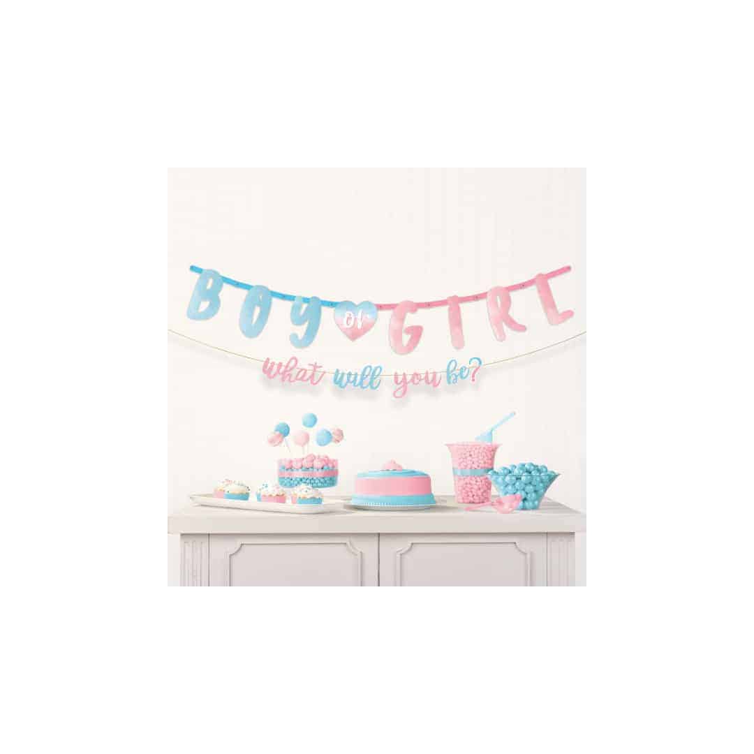 banner-menino-ou-menina-rosa-azul