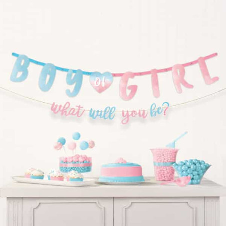 banner-menino-ou-menina-rosa-azul