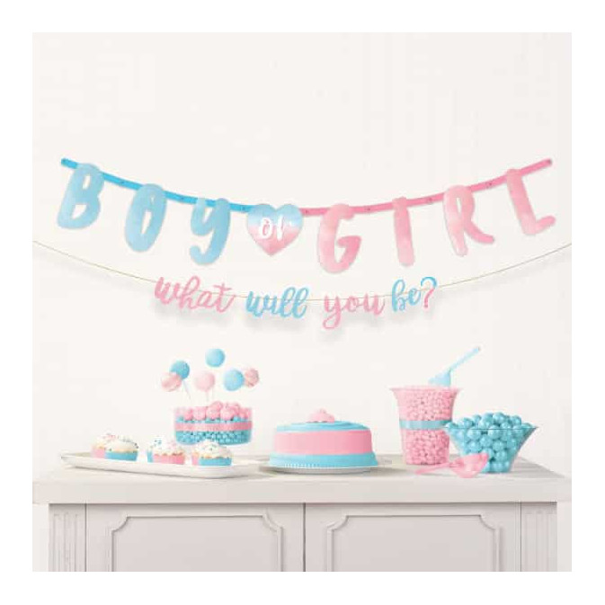 banner-menino-ou-menina-rosa-azul
