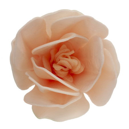 flor-de-magnólia-em-bolo-matzo-deco