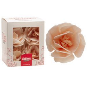6 Flores de Magnólia em Wafer 7 cm