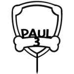 ideia-para-decorar-um-bolo-patrulha-pata