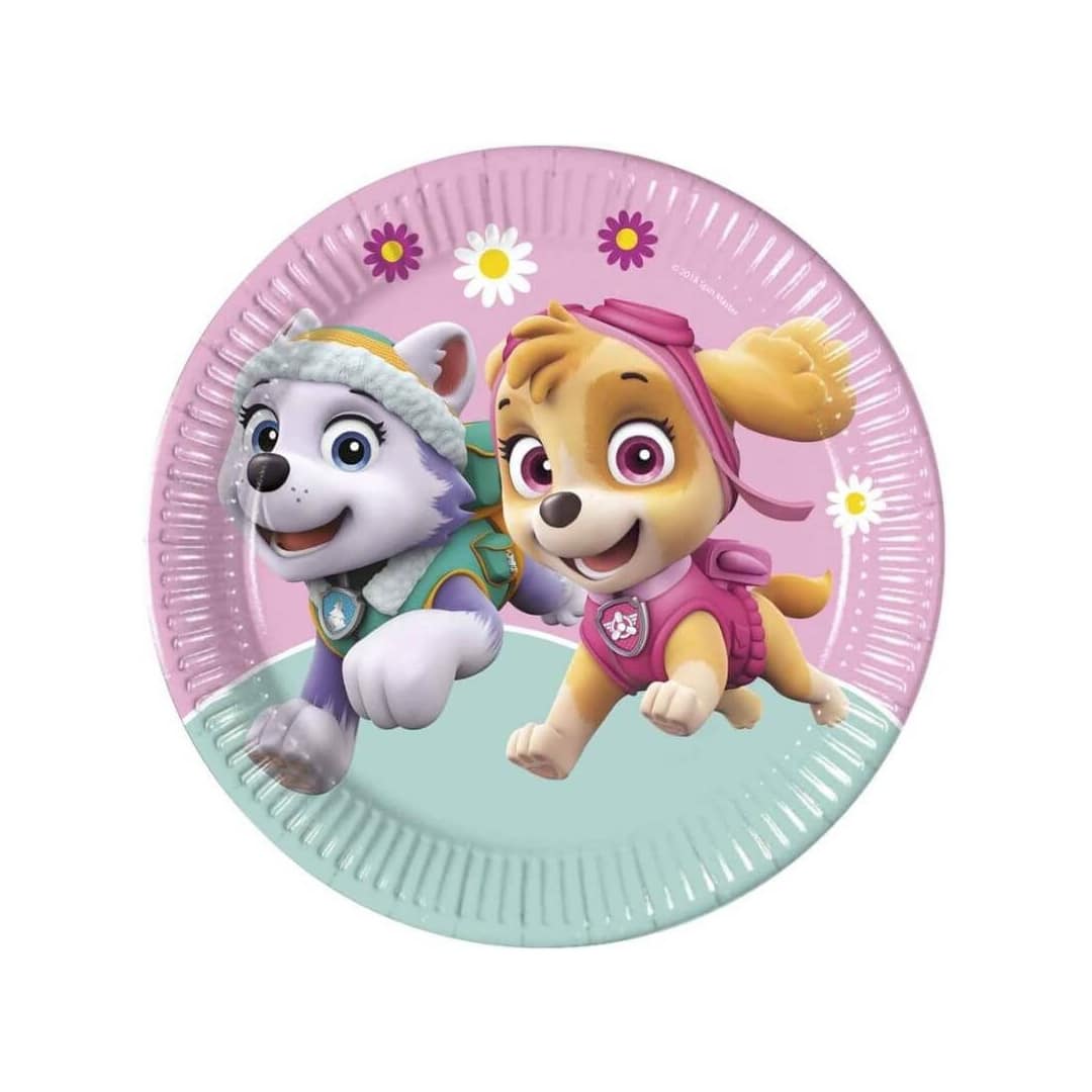 placas-de-paw-patrol-femininas