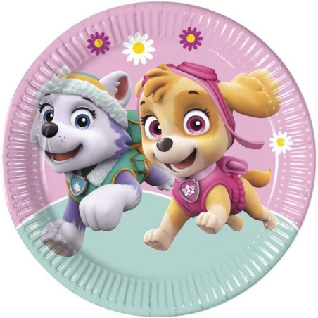 placas-de-paw-patrol-femininas