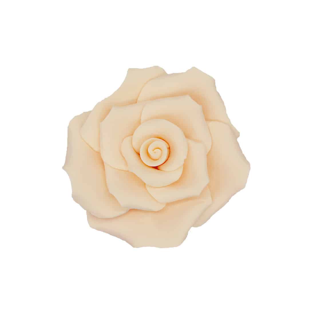 6-rosas-de-açúcar-pêssego-branco-7-cm