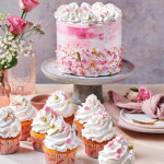 creme-enchantee-funcakes-10-kg