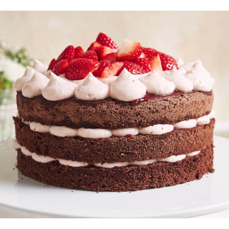 camada de bolo de chocolate