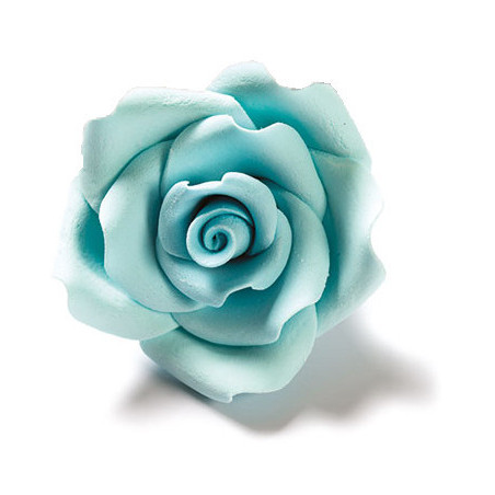 rosa-com-açúcar-azul claro