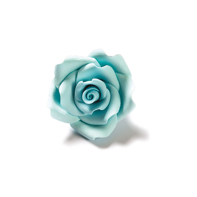rosa-com-açúcar-azul claro
