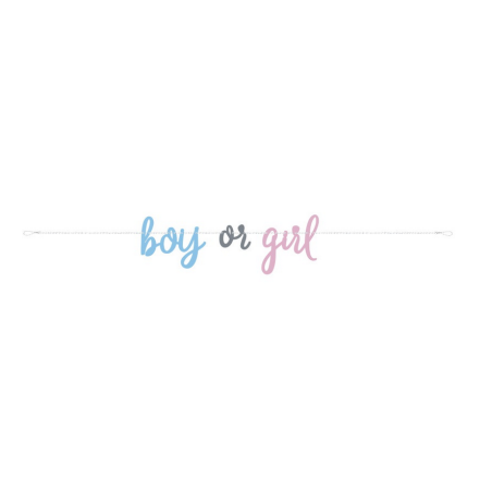 banner-menino-ou-menina-2m