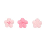 flores rosa-de-açúcar