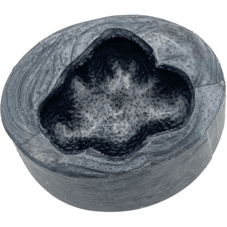 Molde de modelagem em nuvem 3D