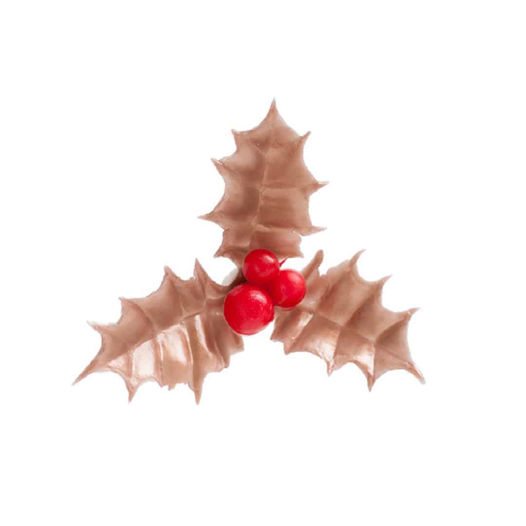 10 escolhas de folhas de azevinho de bronze para registro de natal