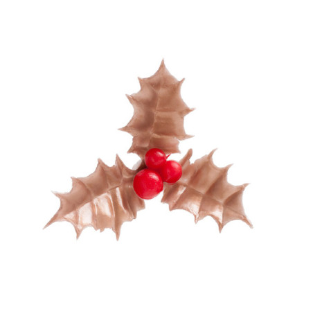 10 escolhas de folhas de azevinho de bronze para registro de natal