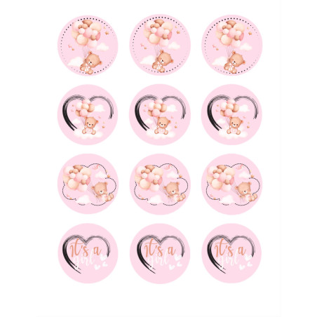 12-Mini-discos-de-açúcar-chá-de-bebê-menina-5-cm