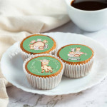 mini-discos-comestíveis-selva-baby-cupcake