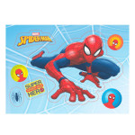 folha ayzme homem aranha