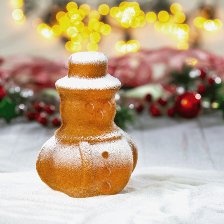 boneco de neve 3D