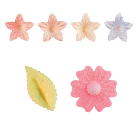 conjunto-de-várias-flores-comestíveis