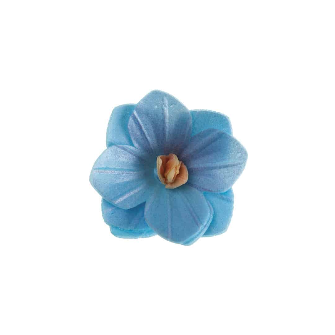 18 flores de hóstia azul