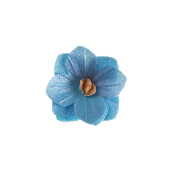 18 flores de hóstia azul
