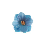 18 flores de hóstia azul